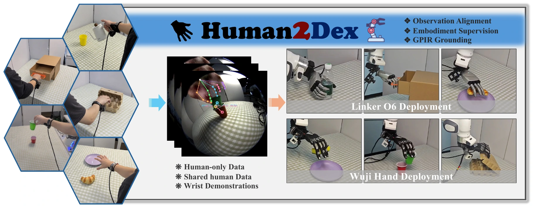 Human2Dex overview: wrist-mounted human demonstrations are converted into shared observations and separate policies for Linker O6 and Wuji robot hands.